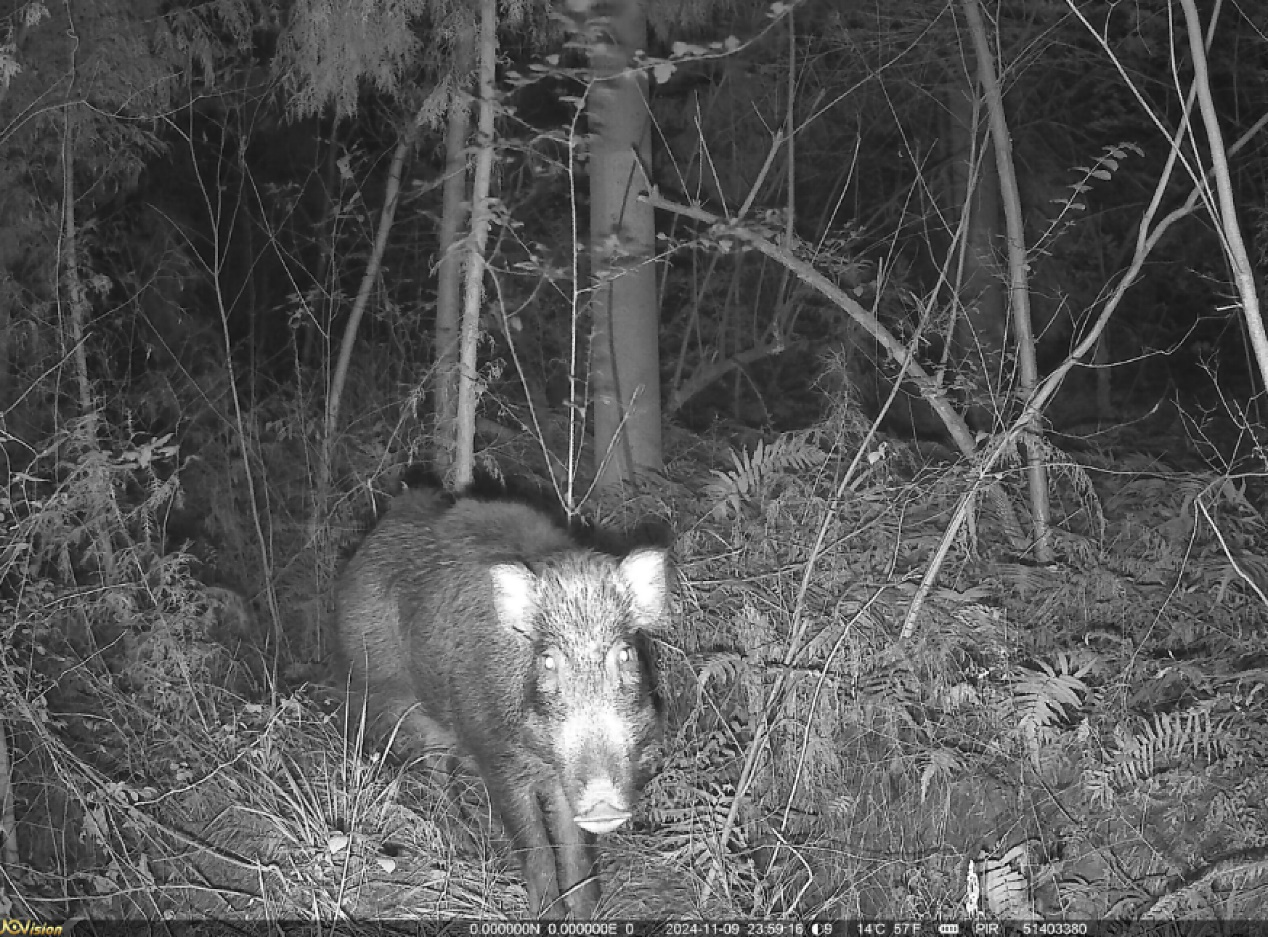 11736d842726664420aa134e17eec601_%E5%9B%BE%E7%89%873.png 11736d842726664420aa134e17eec601_%E5%9B%BE%E7%89%873.png