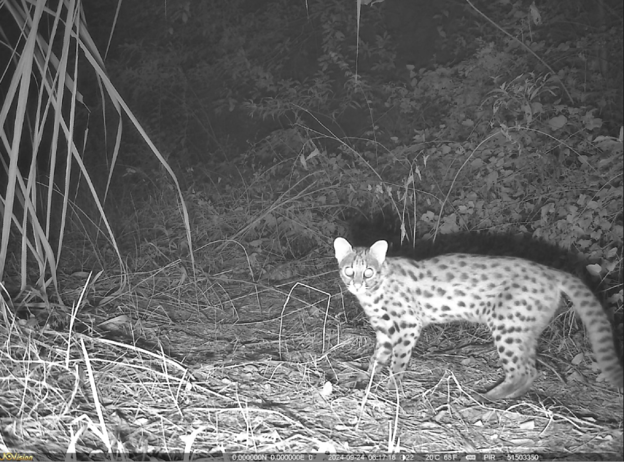 39d35fbd7e18a94c98150a594455d6e2_%E5%9B%BE%E7%89%871.png 39d35fbd7e18a94c98150a594455d6e2_%E5%9B%BE%E7%89%871.png