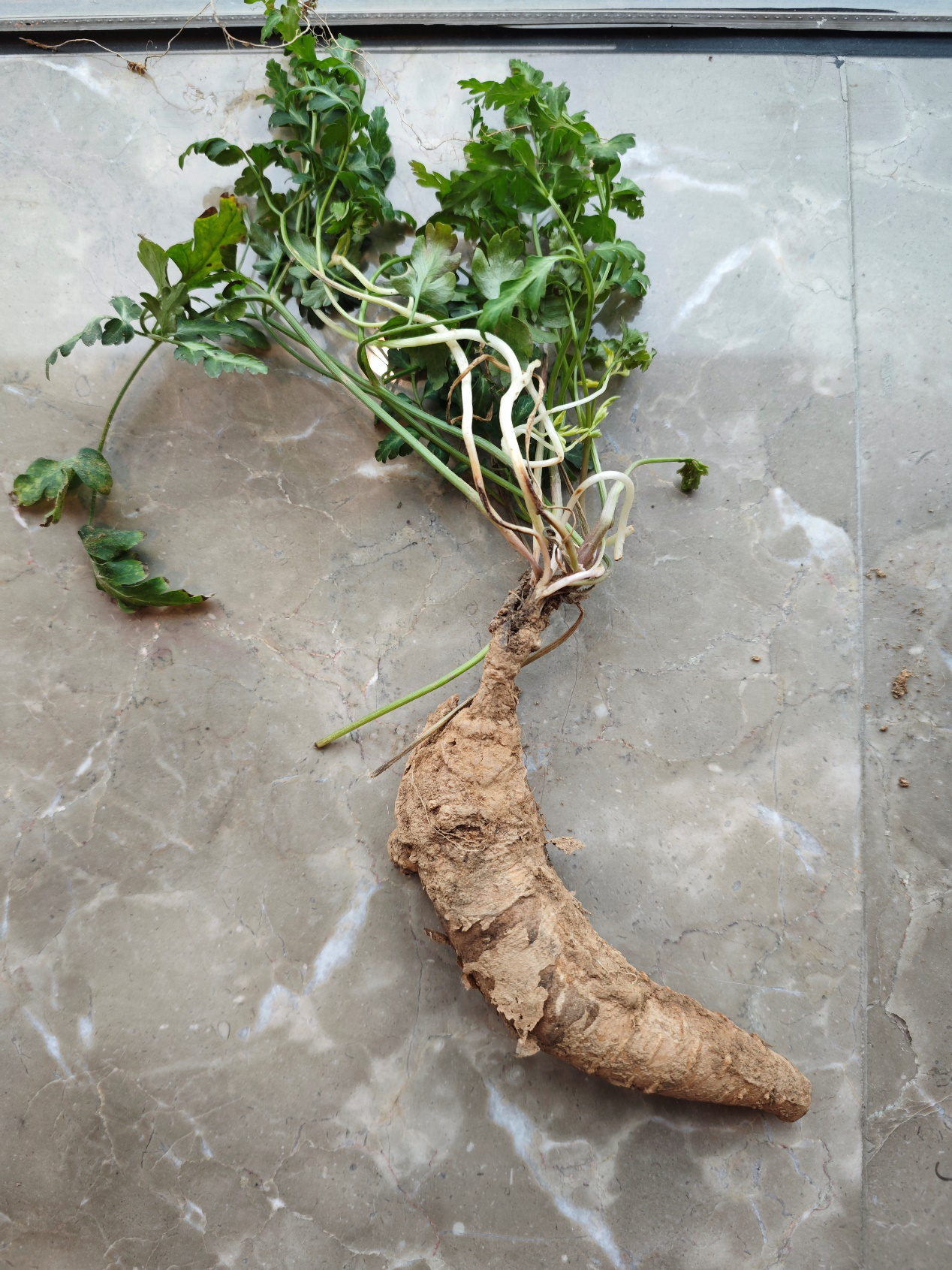 39cc513de07f0e8034c2c4beb7a52645_%E5%9B%BE%E7%89%8713.png 39cc513de07f0e8034c2c4beb7a52645_%E5%9B%BE%E7%89%8713.png