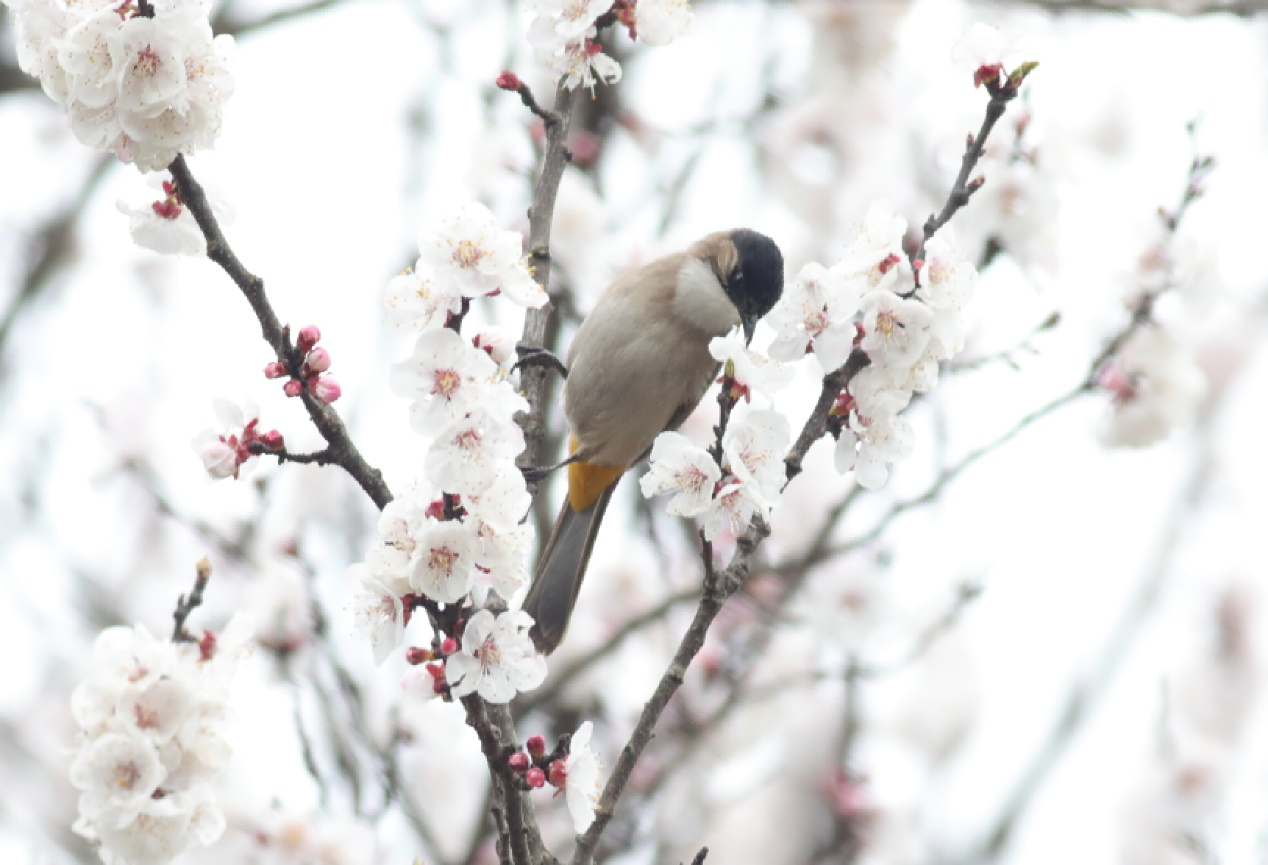 6f430e296048c3970d3c313aa8258a16_%E5%9B%BE%E7%89%878.png 6f430e296048c3970d3c313aa8258a16_%E5%9B%BE%E7%89%878.png