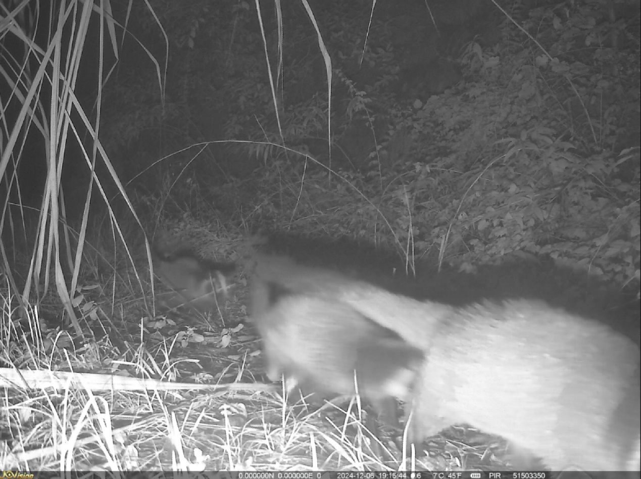 131cd0c066713ceac93200cfe8e28b69_%E5%9B%BE%E7%89%872.png 131cd0c066713ceac93200cfe8e28b69_%E5%9B%BE%E7%89%872.png