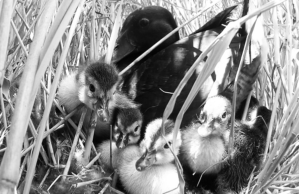 197fb74420ebc774847324f843b9f8c5_07104625t1i2.jpg 197fb74420ebc774847324f843b9f8c5_07104625t1i2.jpg