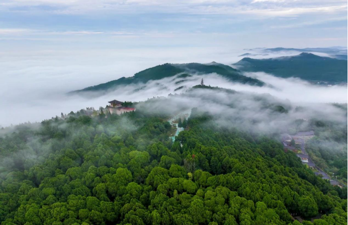 c169b56f5c0a8b02b1dd5b16d5ed3ddc_20250512174427164002.png c169b56f5c0a8b02b1dd5b16d5ed3ddc_20250512174427164002.png