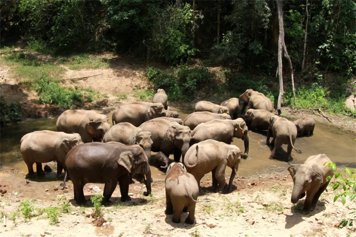 f1c03d31d112a5ff1f44924a560eea00_2209182374xv.png f1c03d31d112a5ff1f44924a560eea00_2209182374xv.png