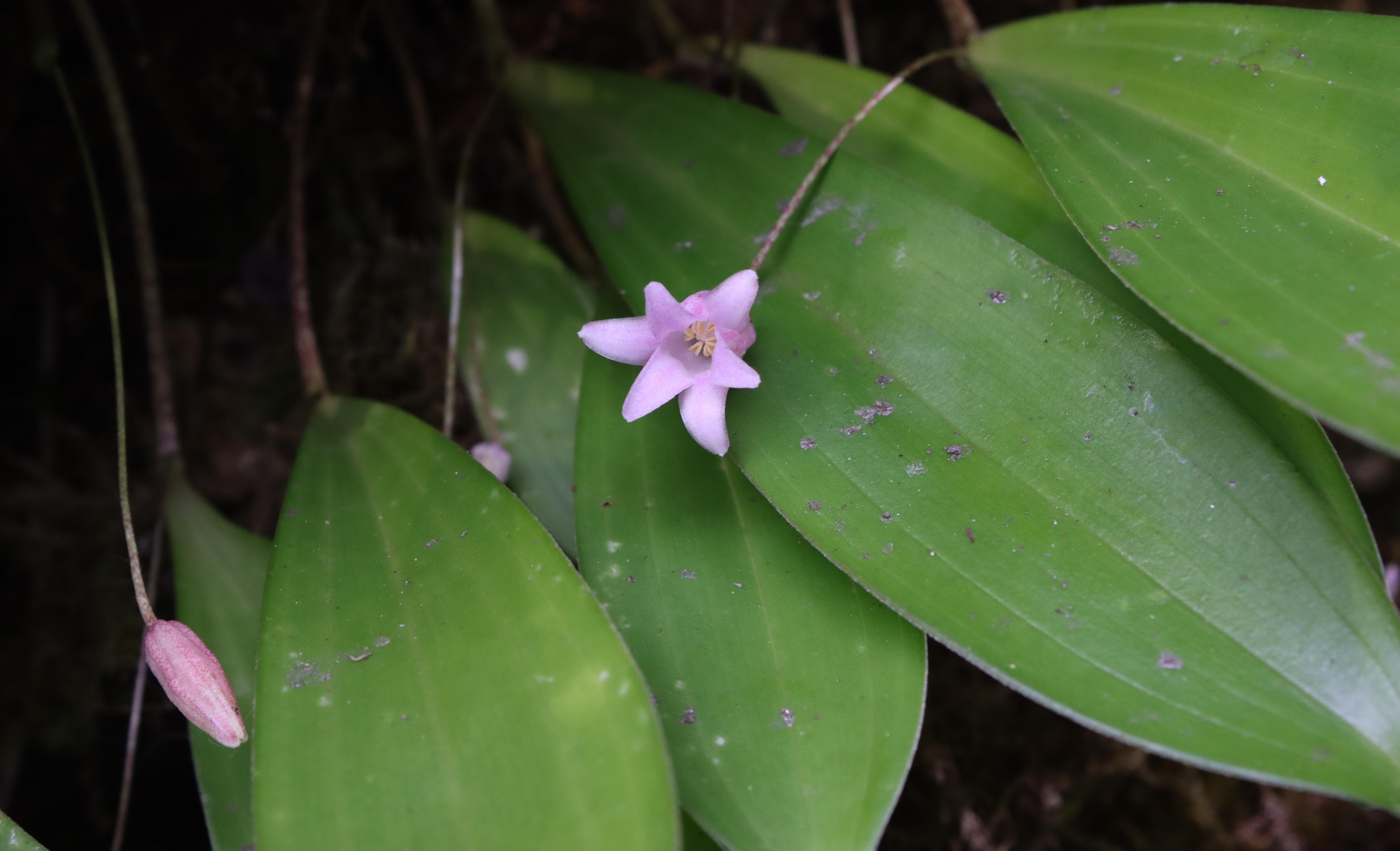 17ef13483135e8d1eabc9864e44de23d_ucut1747909090387.jpg 17ef13483135e8d1eabc9864e44de23d_ucut1747909090387.jpg