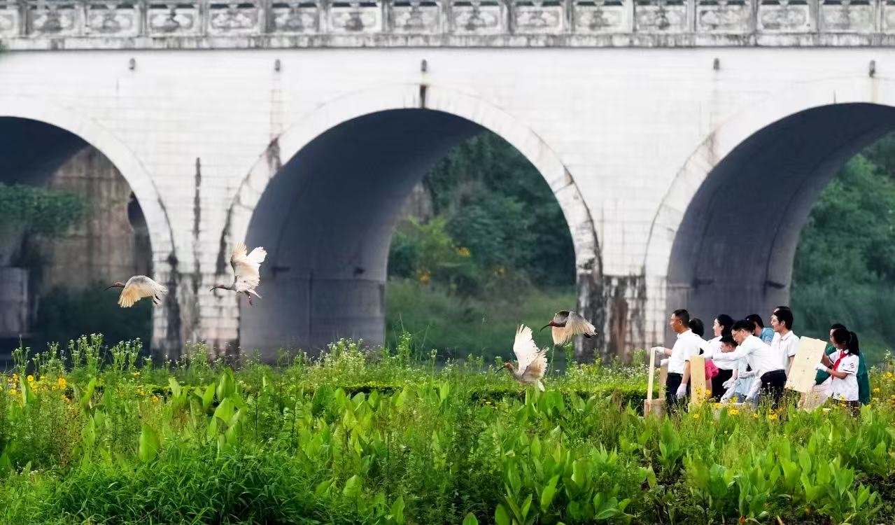 30bf16e6e609a4186de4ac66b5b89041_%E6%94%BE%E9%A3%9E%E7%8E%B0%E5%9C%BA%20%E5%9B%BE%E6%BA%90%E4%B8%AD%E6%96%B0%E7%A4%BE.jpg 30bf16e6e609a4186de4ac66b5b89041_%E6%94%BE%E9%A3%9E%E7%8E%B0%E5%9C%BA%20%E5%9B%BE%E6%BA%90%E4%B8%AD%E6%96%B0%E7%A4%BE.jpg