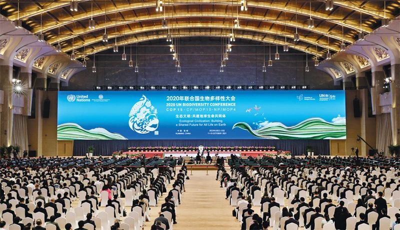 32afcb57cb54b73f0ceb12528a8be00f_W020250601388677264433.jpg 32afcb57cb54b73f0ceb12528a8be00f_W020250601388677264433.jpg