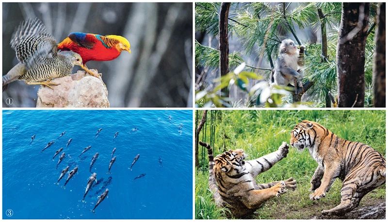 ccae0b0834679ee67e9ec854df18b246_W020250601388677490454.jpg ccae0b0834679ee67e9ec854df18b246_W020250601388677490454.jpg