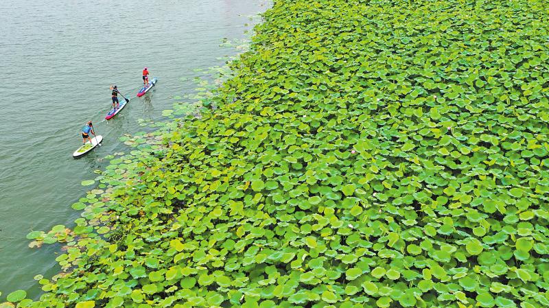 0c79a983110bbe205754c7573d2f388f_11.jpg 0c79a983110bbe205754c7573d2f388f_11.jpg