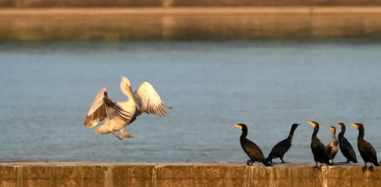 b25a868acd804335ef6c3c7ff6d634bf_20250603113627278001.png b25a868acd804335ef6c3c7ff6d634bf_20250603113627278001.png