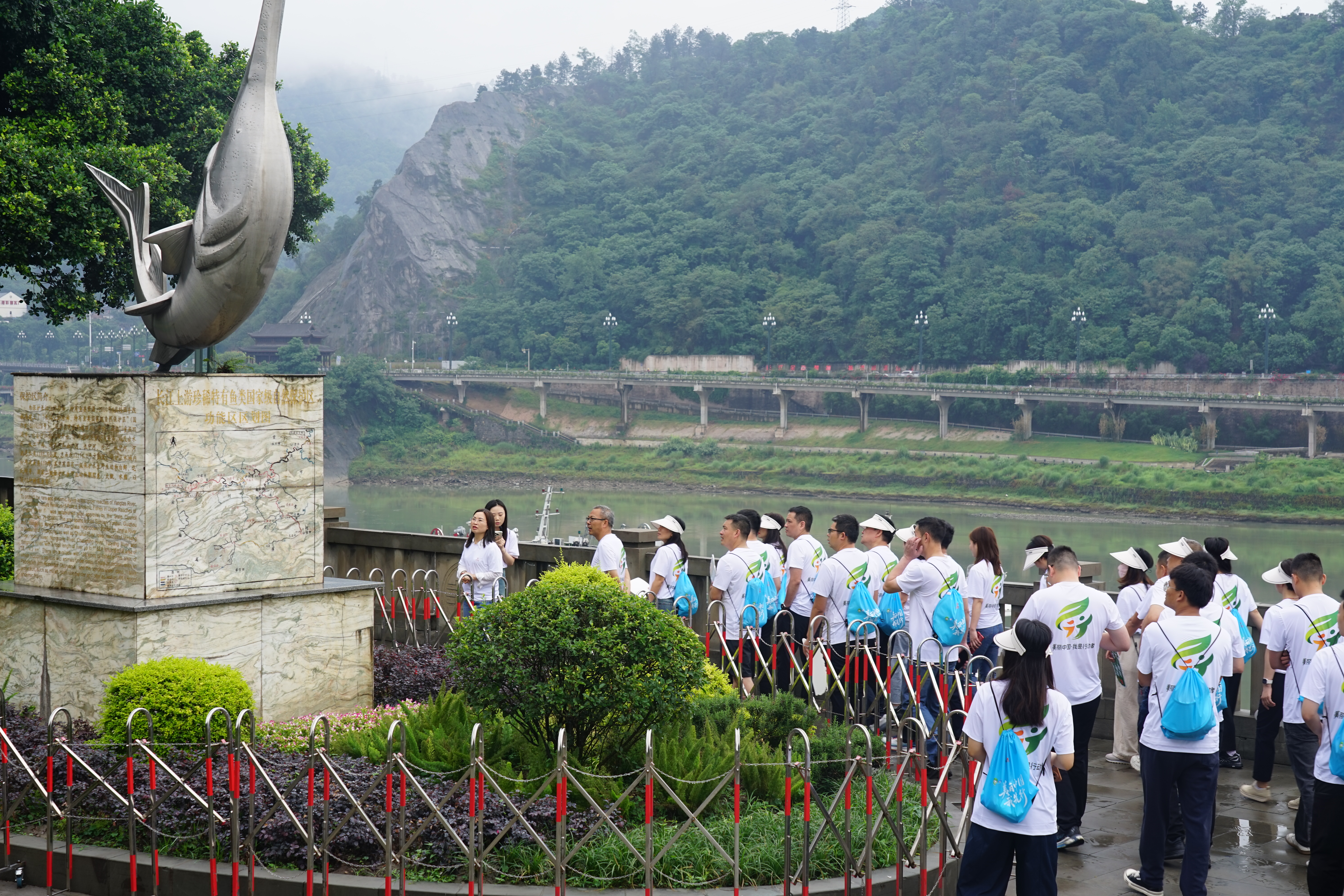 84fb4e26e481a98628871b510f505fea_DSC02450.jpg 84fb4e26e481a98628871b510f505fea_DSC02450.jpg