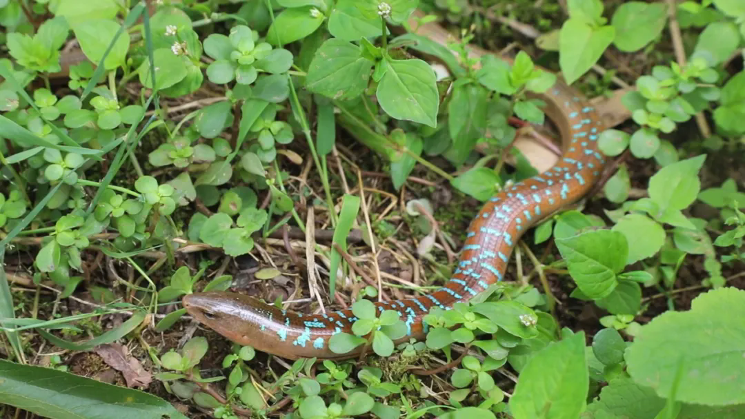 fc044ac53f79fb550b8e1e4293f84f49_af9bc3f9439374aa2360fcdf92e144d4.png fc044ac53f79fb550b8e1e4293f84f49_af9bc3f9439374aa2360fcdf92e144d4.png