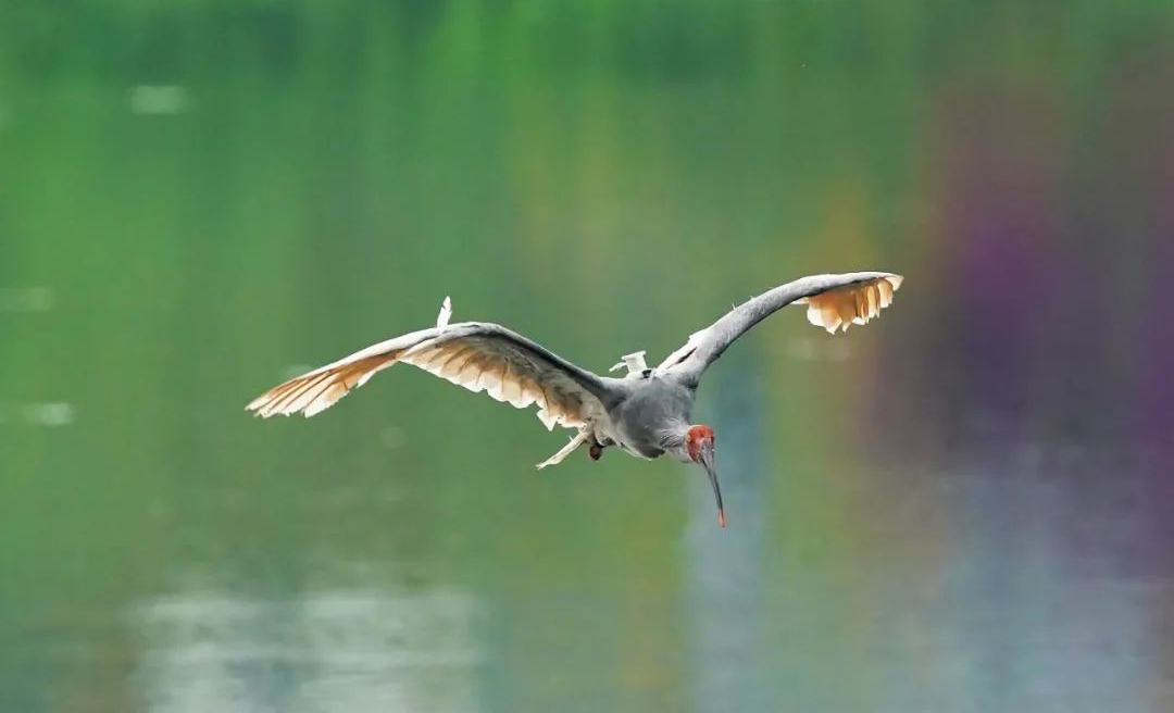 9c062e79bc97b357bffddc8a879c11a8_ucut1748247688488.png 9c062e79bc97b357bffddc8a879c11a8_ucut1748247688488.png