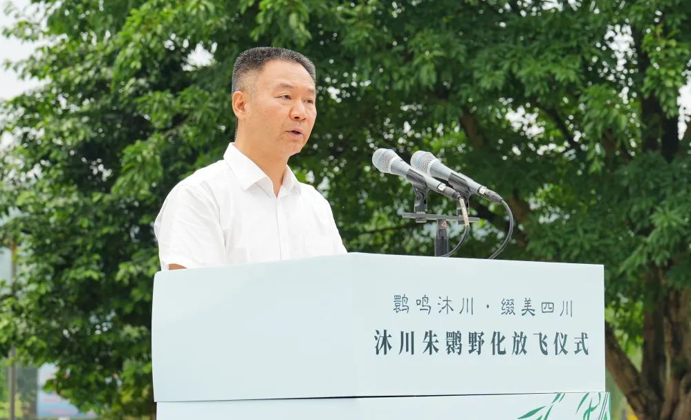 92e9ed12da8a442de97ef799a6c2cda6_ucut1748247600756.png 92e9ed12da8a442de97ef799a6c2cda6_ucut1748247600756.png