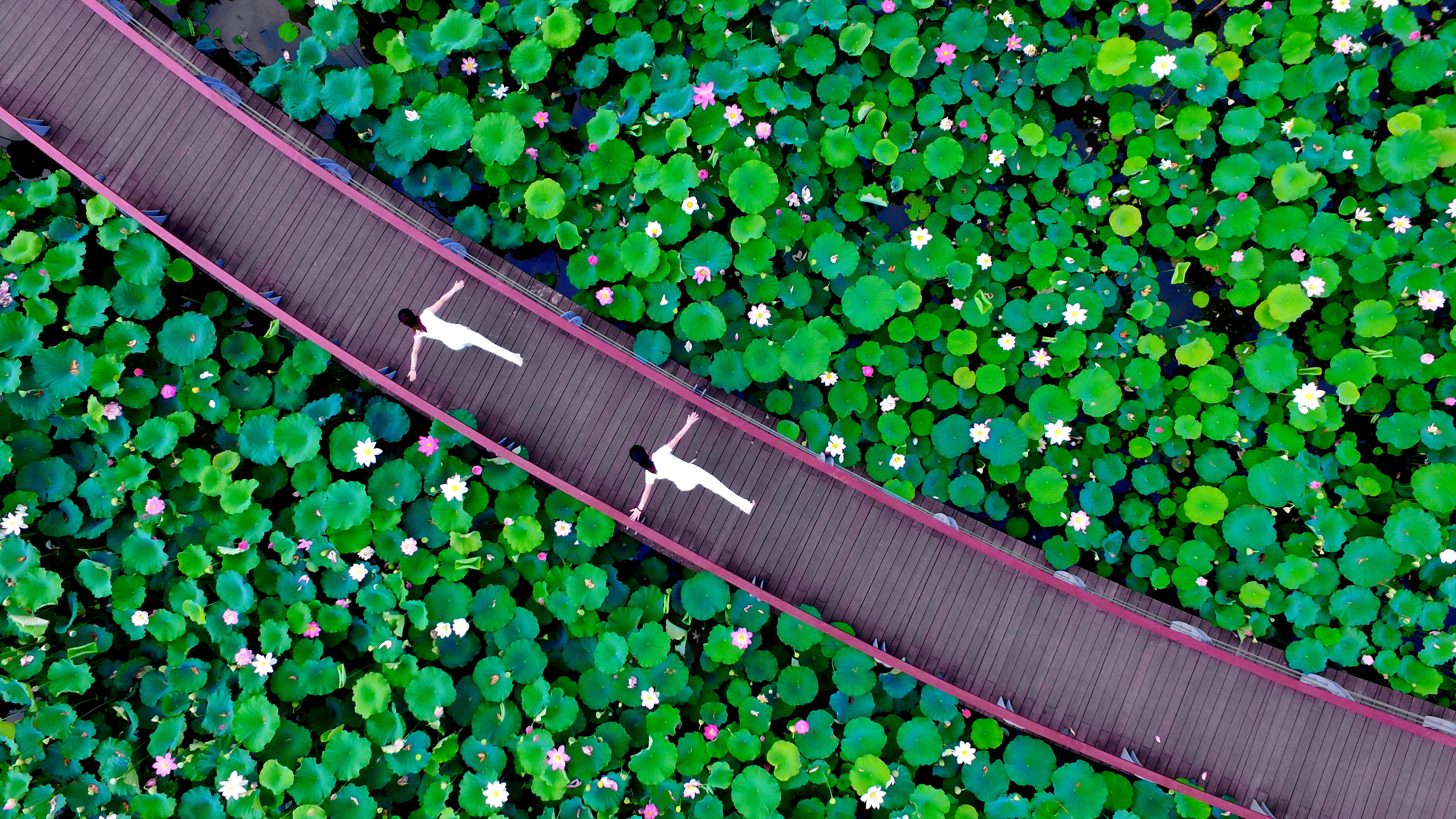 3db1d1202134306aa69d9ccd6582166f_%E8%8D%B7%E7%95%94%E7%91%9C%E4%BC%BD%EF%BC%88%E9%92%9F%E6%95%8F%20%20%E6%91%84%EF%BC%89.jpg 3db1d1202134306aa69d9ccd6582166f_%E8%8D%B7%E7%95%94%E7%91%9C%E4%BC%BD%EF%BC%88%E9%92%9F%E6%95%8F%20%20%E6%91%84%EF%BC%89.jpg