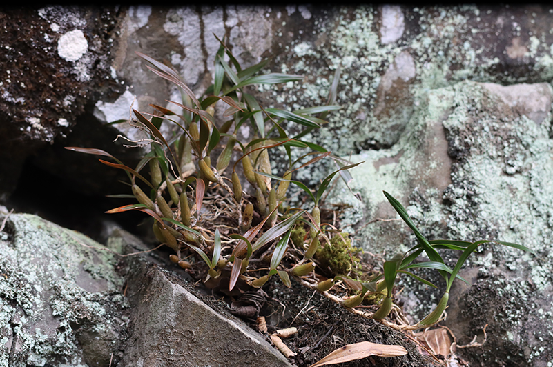 IMG_4435.jpg IMG_4435.jpg