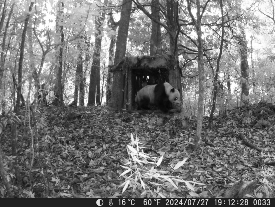 下载.png 下载.png