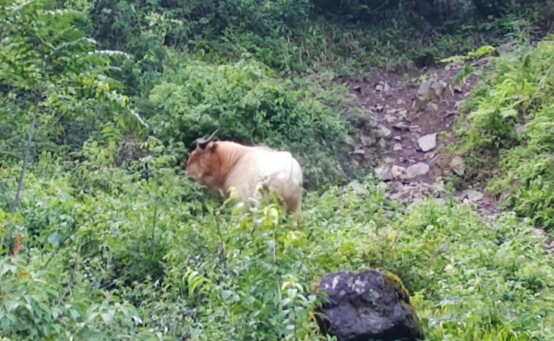 713cd28160c87070a8194e1fe31bc91d_Pr7AAQECAAODQYAFQ4TAAoH9wDgx73LAfpmzQAAAABJRU5ErkJggg==.png 713cd28160c87070a8194e1fe31bc91d_Pr7AAQECAAODQYAFQ4TAAoH9wDgx73LAfpmzQAAAABJRU5ErkJggg==.png