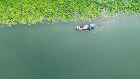 62057dafb747d675107ab5b184308ea5_20250707170833343002.png 62057dafb747d675107ab5b184308ea5_20250707170833343002.png