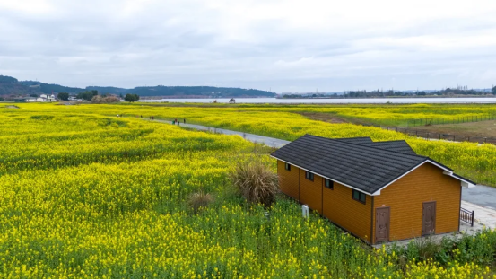 ec62e9c25cd0a7e96697b7bfc7009c34_20250707170833176001.png ec62e9c25cd0a7e96697b7bfc7009c34_20250707170833176001.png