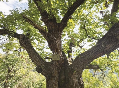 7b6280ca124faed8ad3871e37a430004_1.png 7b6280ca124faed8ad3871e37a430004_1.png