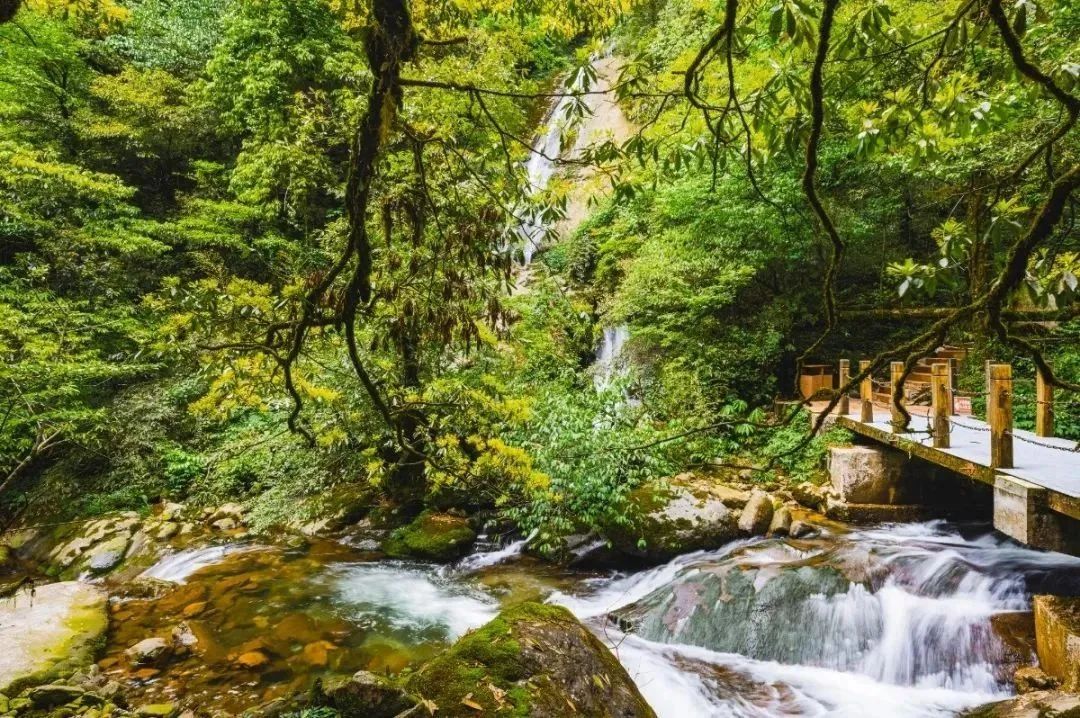 65b496515f0089ff6565cb46b7bed3d0_%E5%BE%AE%E4%BF%A1%E5%9B%BE%E7%89%87_2025-07-29_153338_750.png 65b496515f0089ff6565cb46b7bed3d0_%E5%BE%AE%E4%BF%A1%E5%9B%BE%E7%89%87_2025-07-29_153338_750.png