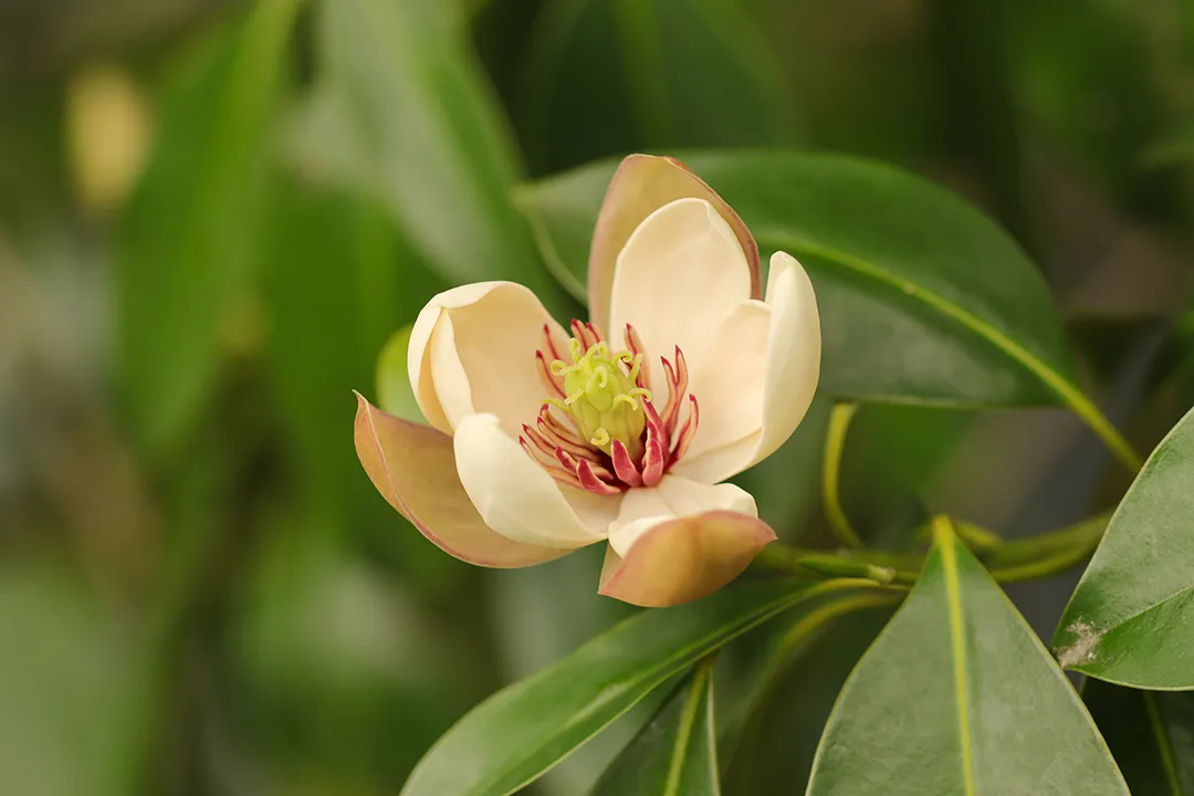 715ce1d8ee3ccc65b073d70390774cd4_baffd85df0f1449cb7f1f03ccf24a8cc.png 715ce1d8ee3ccc65b073d70390774cd4_baffd85df0f1449cb7f1f03ccf24a8cc.png