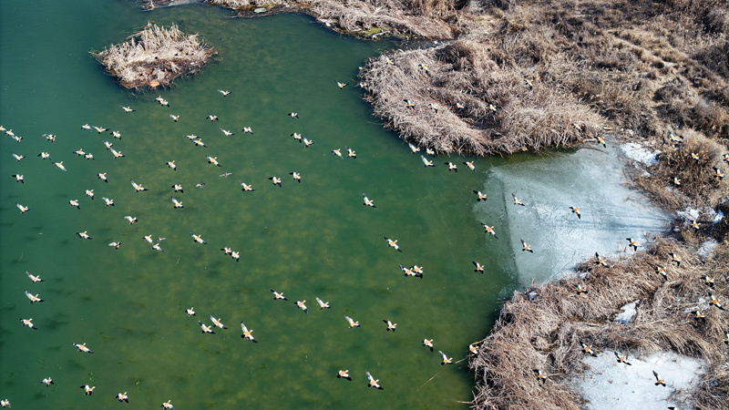 f7b497e99f21476f756061812f4e23e1_20250815_081851_008.jpg f7b497e99f21476f756061812f4e23e1_20250815_081851_008.jpg