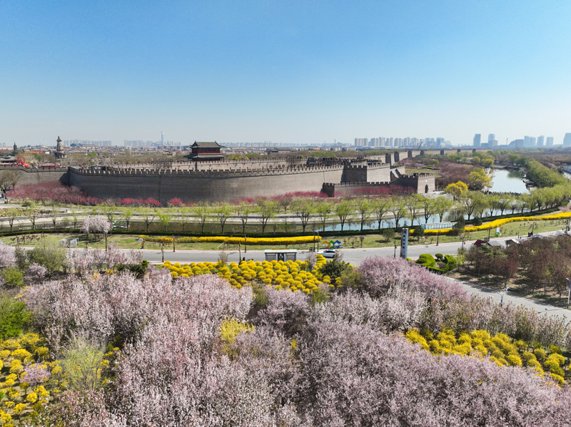 ceb02656ca14211f0158602a365342f8_20250815_081851_003.jpg ceb02656ca14211f0158602a365342f8_20250815_081851_003.jpg