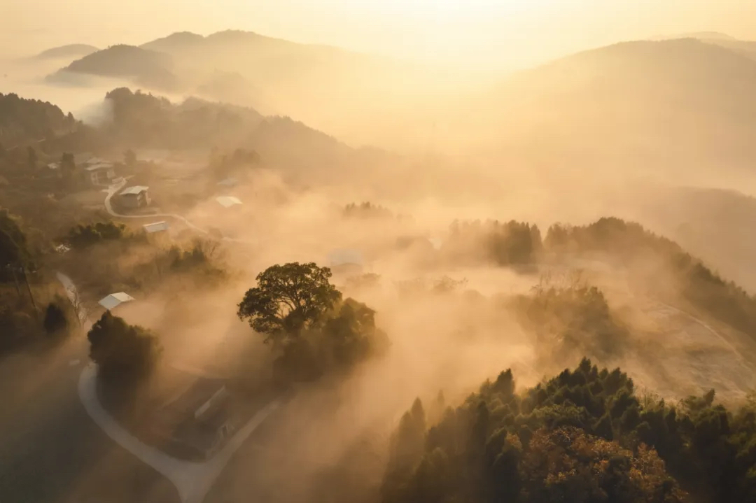 296af78125534bd054d7f358199c742a_10.jpg 296af78125534bd054d7f358199c742a_10.jpg