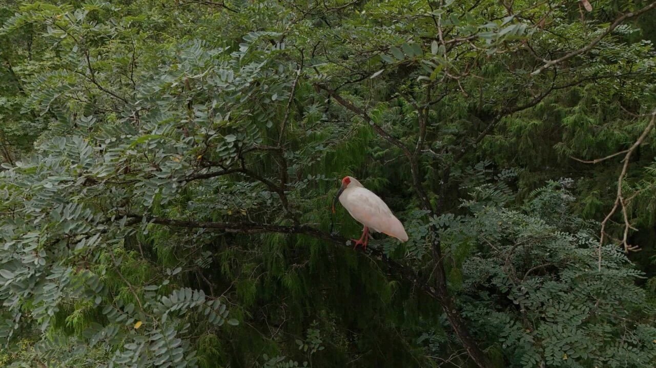 ad768d46956817b6919002aba5896028_%E5%BE%AE%E4%BF%A1%E5%9B%BE%E7%89%87_2025-09-22_151324_747.png ad768d46956817b6919002aba5896028_%E5%BE%AE%E4%BF%A1%E5%9B%BE%E7%89%87_2025-09-22_151324_747.png