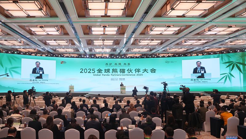 9d4b5986026269a30c0b14a3448f3611_11.jpg 9d4b5986026269a30c0b14a3448f3611_11.jpg